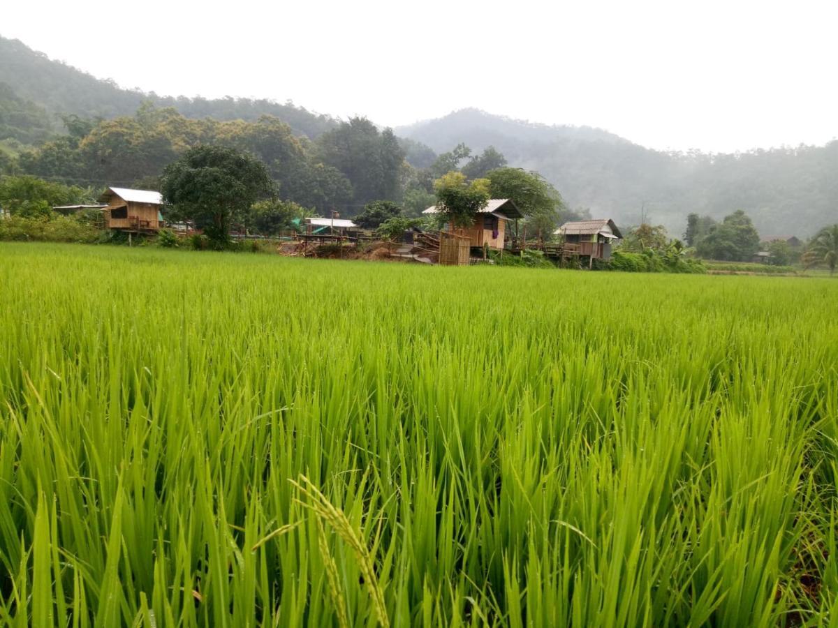 Samoeng Fishing Park Home Stay Extérieur photo